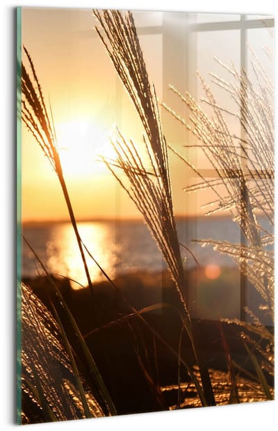 Wallfluent Glasschilderij - Tarwe in het gouden uur Schilderij Op Glas - 20x30 cm - Bruin Verticale Muurschildering - Natuur Foto In Glas - Foto Glas - Glas Foto