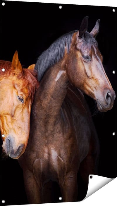 Gards Tuinposter Twee Bruine Paarden Koppel - Liefde - 80x120 cm - Tuindoek - Tuindecoratie - Wanddecoratie buiten - Tuinschilderij