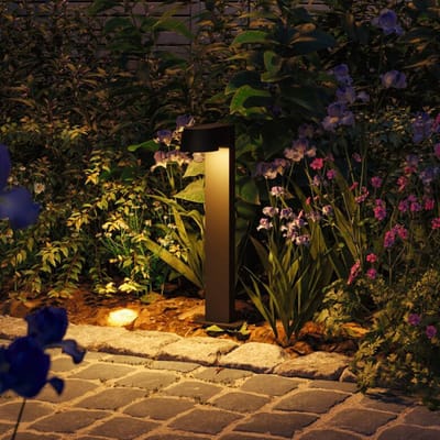 LED-bolderlamp Capea insectvriendelijk IP44 500 mm 2200K 6W 450lm 230V 98° Antraciet Aluminium