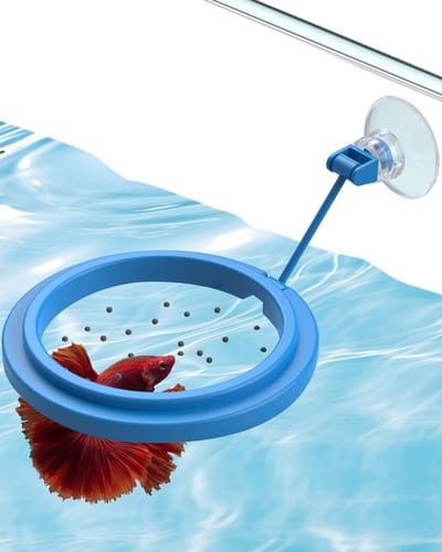 Aquarium Voeder Ring met Zuignap - Ronde Voeder Ring voor Betta Vissen, Guppy's en Schildpadden