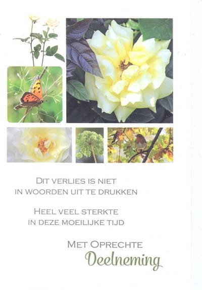 Condoleance Wenskaart - Met Oprechte Deelneming - D4276/49 - Gratis verzonden