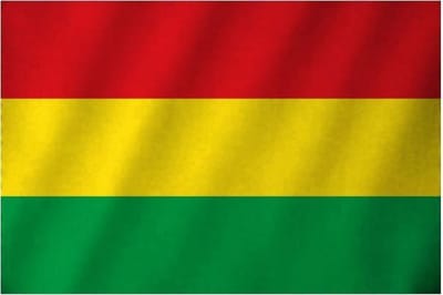 Partychimp Vlag Limburg Carnaval Limburg - Rood/Geel/Groen - 90 x 150 cm - 100% polyester