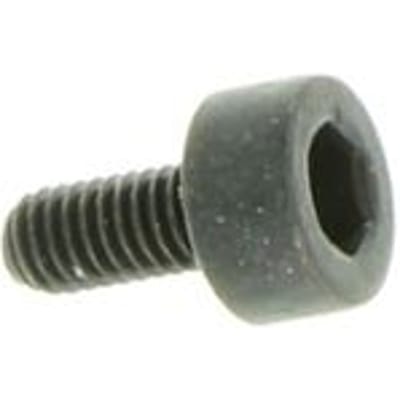 Screw