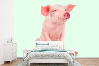 Fotobehang - Muurdecoratie - Varken - Roze - Stopcontact - Dieren - 360x240 cm - Behang - Fotobehang dieren