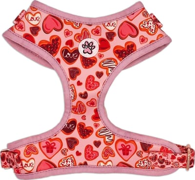 Hondentuigje - Zacht Tuigje / Honden Harnas - Roze - Rood - Hartjes - Love at First Bark - Paw My God! - Maat M