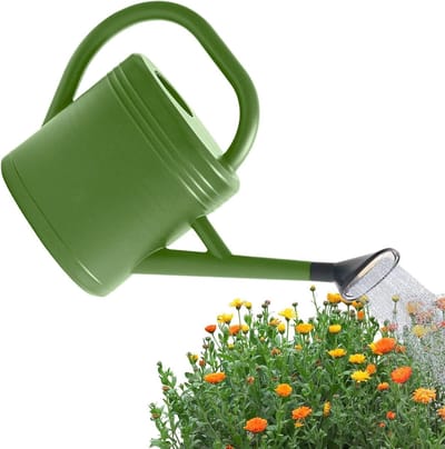 Kamerplant gieter - Waterkruik pot - Planten water geven - Afneembare lange tuit - 3 liter - Leger Groen