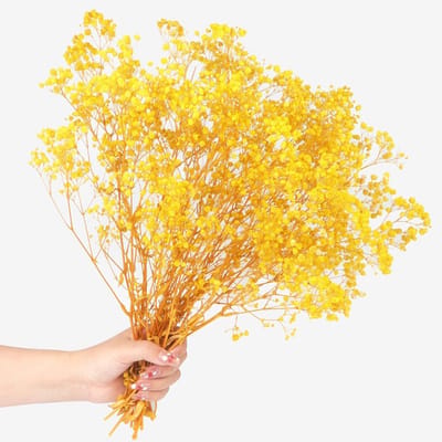 Gedroogde Gypsophila (Sluierkruid) - 70g Natuurlijke Witte Bloemen voor Bruiloft & Interieurdecoratie - 40 cm Hoog