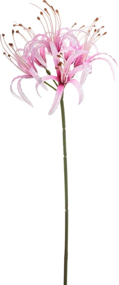 Emerald - Kunstbloem Nerine 63cm lichtroze - Kunstplant voor binnen