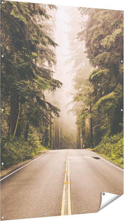 Gards Tuinposter Highway in Californië Omring met Bos - 120x180 cm - Tuindoek - Tuindecoratie - Wanddecoratie buiten - Tuinschilderij