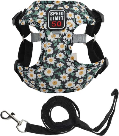 Dailygoods- Hondenharnas Verstelbaar - Harnas/Lijnset - Reflecterende Strepen - Veiligheidsslot - Hoogwaardig Polyester/Katoen - Voor Kleine/Middelgrote Honden - Hondentuig
