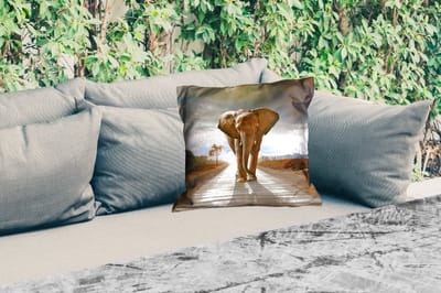 Buitenkussen - Olifant - Weg - Dieren - Zonsondergang - Landschap - 45x45 cm - Weerbestendig