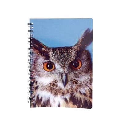 Uilen vogels thema schrift notitieboekje 3D 21cm - Opschrijfboekjes/school schriften