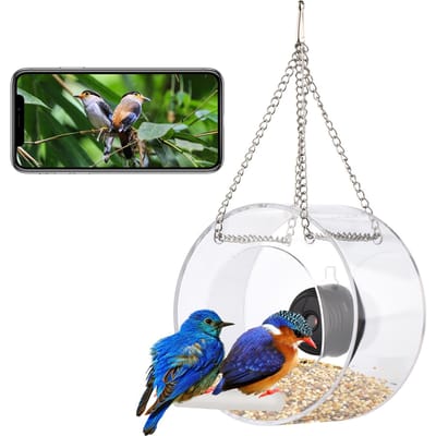 Vogelvoederbak met helder venster en zuignap voor wifi-camera, slimme transparante ronde vogelvoeder met 16 GB with Camera transparant