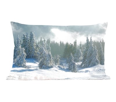 Sierkussens - Kussentjes Woonkamer - 50x30 cm - Bos - Sneeuw - Winter - Kerstversiering - Kerstdecoratie voor binnen - Woonkamer