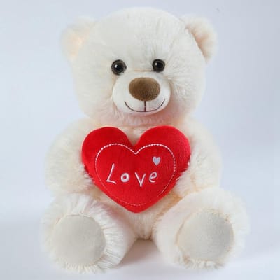 Hartbeer Knuffeldieren Pluche Speelgoed Cadeau Ideaal voor Kind Vriendin 13,5 Inch Knuffelberen Ideaal voor Kerstmis Valentijnsdag Verjaardag 35cm