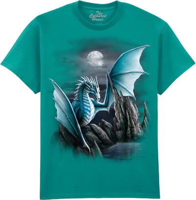 Draak Cameron Dragon The Coloured House T-shirt M