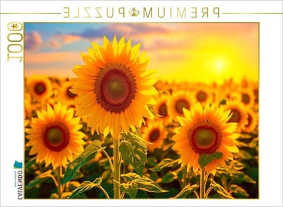 Fotopuzzel Meditatie - Legpuzzel Vrede - Ontspanning en Concentratie - Premium Kwaliteit Karton - 64 x 48 cm - Meerkleurig