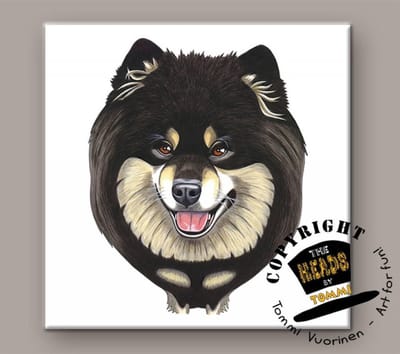 Tegel Hond Finse Laphond