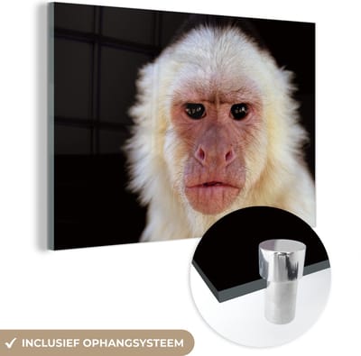 MuchoWow® Glasschilderij 120x80 cm - Schilderij acrylglas - Aap - Vacht - Zwart - Foto op glas - Schilderijen