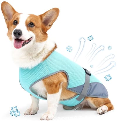 Koelvest Hond M - Coolvest - Verkoelende Jas - Cooling Vest - Koeljas Hond - Verkoeling Hond - Ademende Mesh Hondenjas - UV-bescherming - Verstelbaar - Verkoelende Harnas - Verkoelende Hondenvest - ijsvest - Blauw