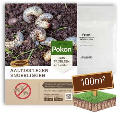 Pokon Aaltjes tegen Engerlingen - 50 miljoen Aaltjes voor 100m² gazon - Natuurlijke engerlingenbestrijding - Resultaat binnen 2 tot 3 dagen