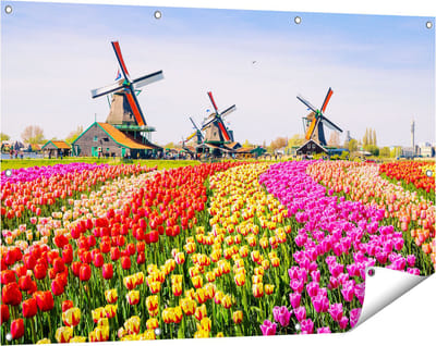 Gards Tuinposter Kleurrijke Tulpen Bloemenveld - Windmolen - 120x80 cm - Tuindoek - Tuindecoratie - Wanddecoratie buiten - Tuinschilderij