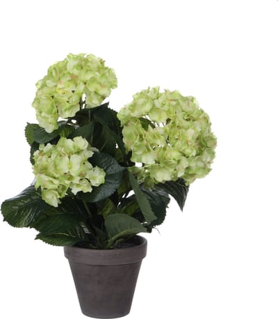 Mica Decorations - Hortensia Kunstplant in Bloempot Stan - H40 x Ø35 cm - Groen