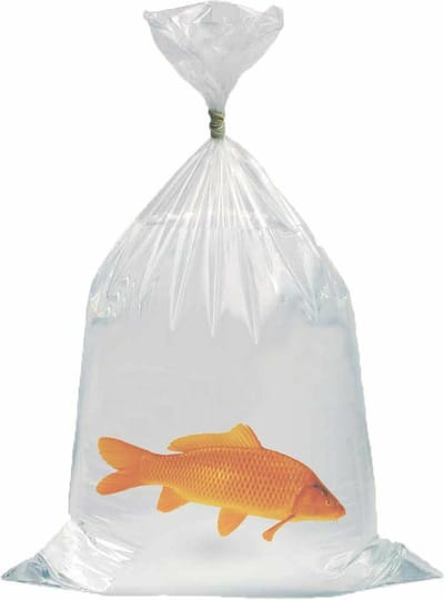 Vistransportzakken 45 x 80cm en 0,06mm dik - Doos (250 stuks)