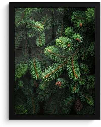 Poster in lijst - Fotolijst 30x40 cm - Posters - Sparrentakken - Knoppen - Naalden - Groen - Posterlijst zwart - Decoratie - Wanddecoratie woonkamer - Muurdecoratie slaapkamer