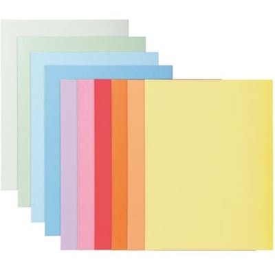 Exacompta SUPER 160 - Pak van 100 dossiermappen 160g/m2- 24x32 cm voor A4. - Geassorteerd - 340000E