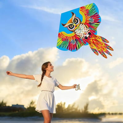 Grote uil vlieger - Enkele lijn vlieger - Buiten spelen - Realistische uil vorm - 132 x 116 cm - Kleurrijk
