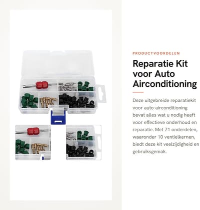 Dailygoods- Ventielkernen Set - 50 Stuks Ventielkernen - 10 Stuks Kleppen - A/C Oplaadslang Pakkingen - Slijtvast en Corrosiebestendig - Assortiment Gereedschap - Airconditioningkit