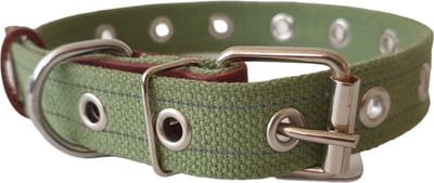 WAUDOG Canvas Halsband / Hondenhalsband - Katoen - Groen - Reflecterend - M - Breedte: 25 mm - Nekomtrek: 31 - 51 cm (GELIEVE ALVORENS BESTELLEN OPMETEN)