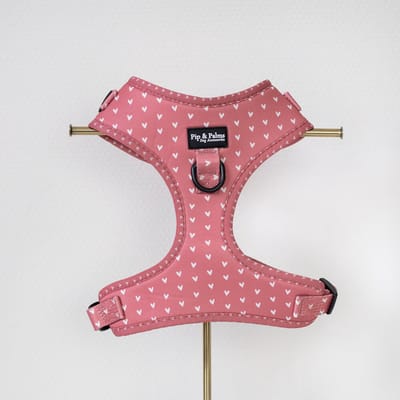Pip & Palms - Hondenharnas Love is in the Air - Roze - Maat XXS - Hondentuig - Verstelbaar - Y Tuig Hond - Zachte Voering - voor Kleine honden