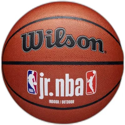 Basketbal Wilson NBA Fam