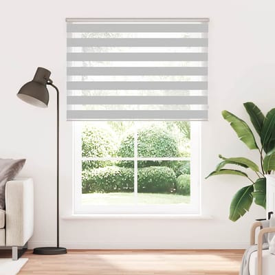 vidaXL - Zebra - rolgordijn - 160x200 - cm - stofbreedte - 155,9 - cm - lichtgrijs