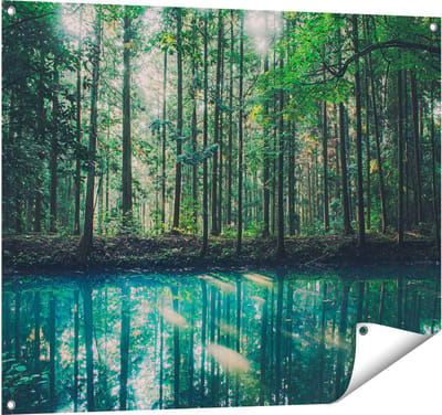 Gards Tuinposter Bos bij een Groen Meer - 100x80 cm - Tuindoek - Tuindecoratie - Wanddecoratie buiten - Tuinschilderij