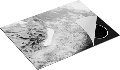 Chefcare Inductie Beschermer Groene Sla op een Blauwe Achtergrond - Zwart Wit - 70x50 cm - Afdekplaat Inductie - Kookplaat Beschermer - Inductie Mat