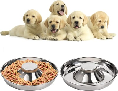 Roestvrijstalen Puppykommen Set van 2 - Antislip Voer- en Waterbak voor Honden en Katten