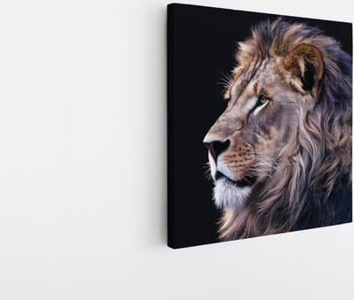 Saammp Canvas Schilderij - leeuwen portret - Afrika - Dieren - Natuur - 20x20 - Foto op canvas - Wanddecoratie - Muurdecoratie Woonkamer - Slaapkamer decoratie - Canvas Print