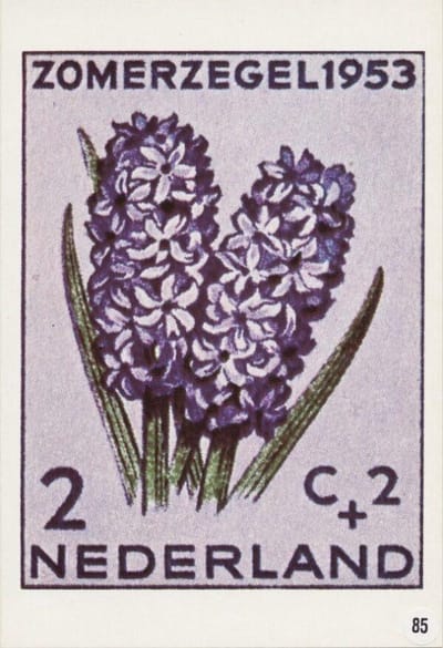 Briefkaart met afbeelding Hyacinth postzegel