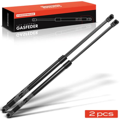 Frankberg 2x Gasveer Klep voor VW