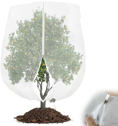 Dailygoods- Fruitboomnetzak 3 x 3 m - Herbruikbaar Tuinnet - Vogelgaas - Insectennet - Bescherming voor Fruitbomen - Premium PE-Materiaal - Vogelnet