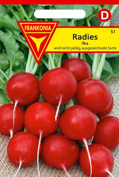 Radijsjes, Ilka Kleine Verpakking - Groentezaden Radijszaadjes