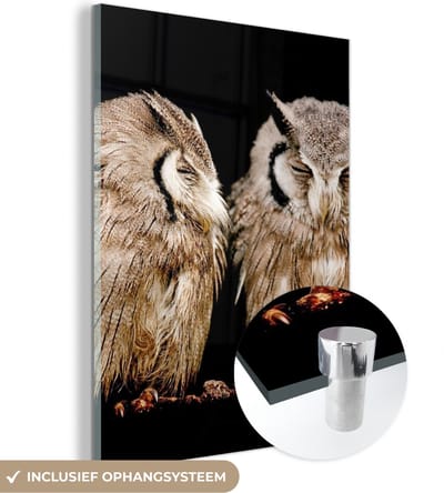 MuchoWow® Glasschilderij 120x160 cm - Schilderij acrylglas - Uil - Vogel - Zwart - Foto op glas - Schilderijen