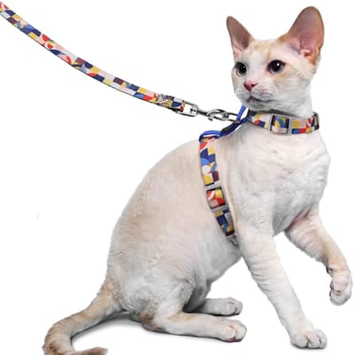 Lexium Kattenharnas - Kattentuigje met looplijn - Katten harnas - Kattenharnas met leiband - Kattenharnas met looplijn - Kattenlijn - Kattentuig