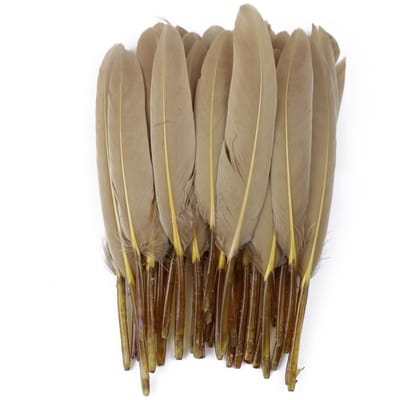 50/100/200 stuks Blauwe Ganzenveren Harde Schacht 4-6inch/10-15cm Echte Natuurlijke Zwanenveer Huis Decoratief Dromenvanger Handwerk 50Pieces