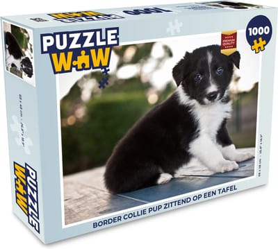 Puzzel Border collie pup zittend op een tafel - Legpuzzel - Puzzel 1000 stukjes volwassenen