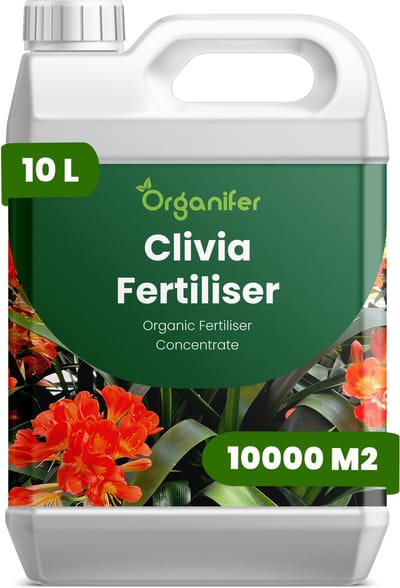 Vloeibare Meststof Voor Clivia 10 L Voor 10000 M2 - Npk 3-4-3 - Krachtige Groei - Sterke Bladontwikkeling - Rijke Bloei - Sterke Wortelstructuur - Bolstructuur - Verhoogde Weerbaarheid - Organifer