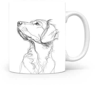 Beker Nova Scotia Duck Tolling Retriever